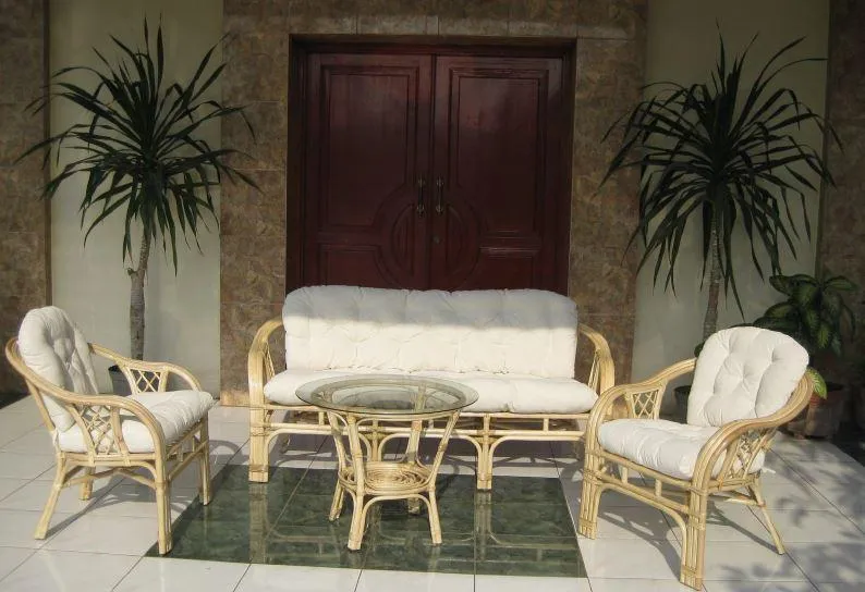 Cane furniture minimalist look